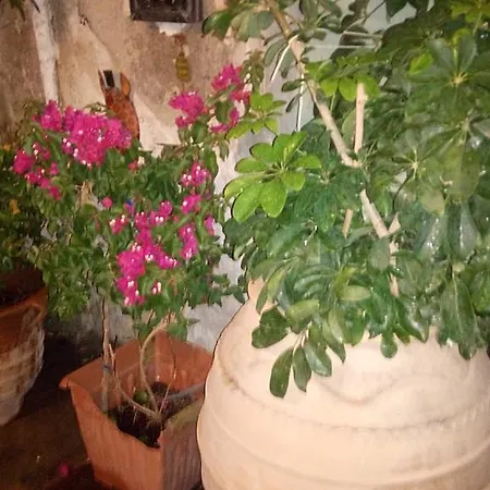 Casa Cologne Holiday home Chania (Crete)